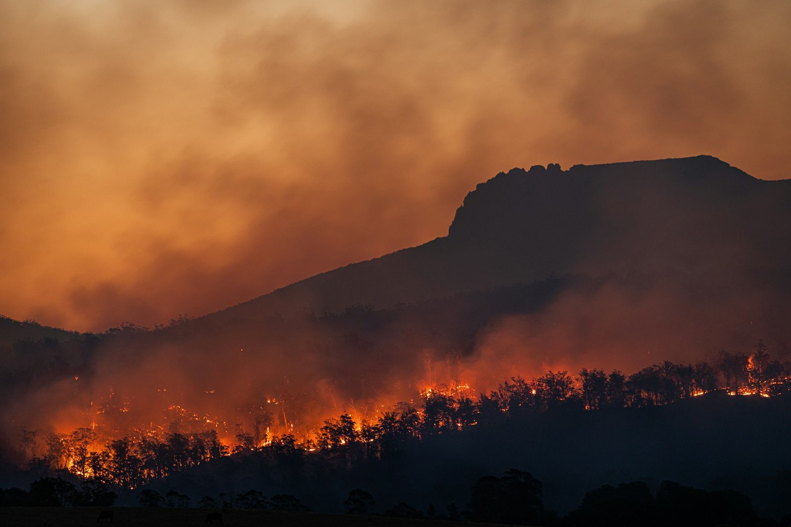 Maybe If We Just Ignore Climate Change, It Will Go Away Like My Ex Did